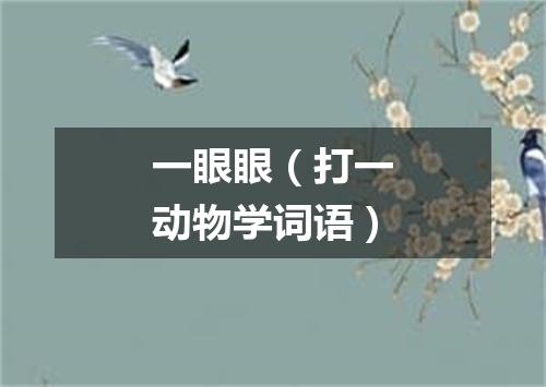 一眼眼（打一动物学词语）