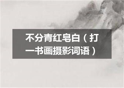 不分青红皂白（打一书画摄影词语）