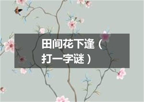 田间花下逢（打一字谜）