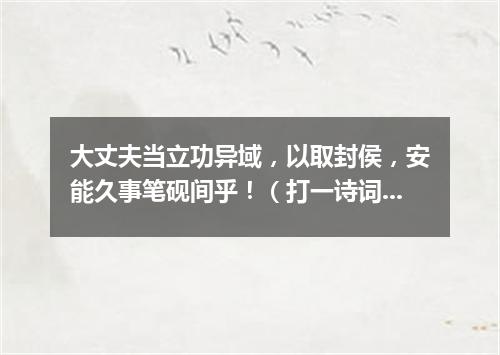 大丈夫当立功异域，以取封侯，安能久事笔砚间乎！（打一诗词句）