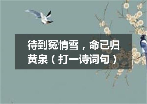 待到冤情雪，命已归黄泉（打一诗词句）