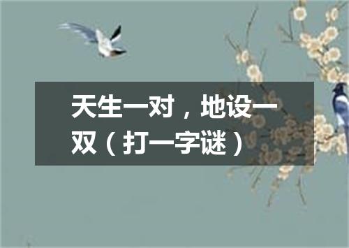 天生一对，地设一双（打一字谜）