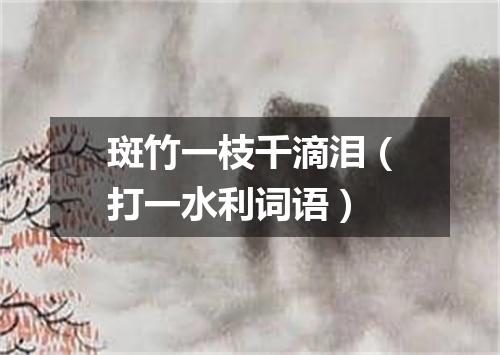 斑竹一枝千滴泪（打一水利词语）