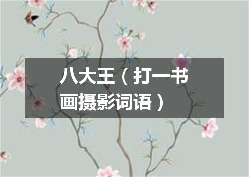 八大王（打一书画摄影词语）