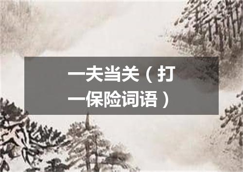 一夫当关（打一保险词语）