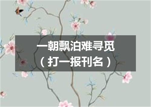 一朝飘泊难寻觅（打一报刊名）