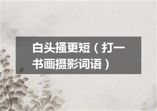 白头搔更短（打一书画摄影词语）