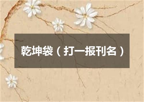 乾坤袋（打一报刊名）