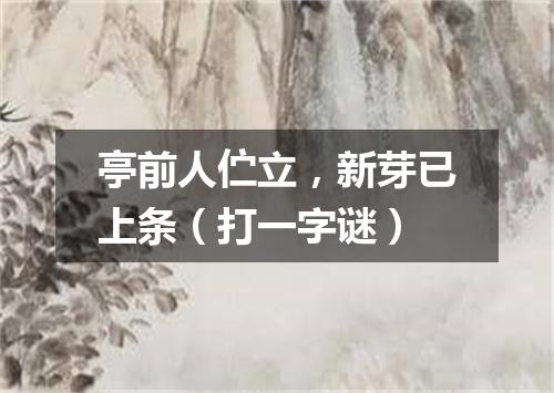 亭前人伫立，新芽已上条（打一字谜）