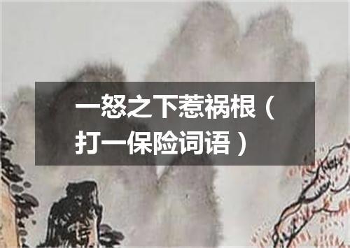 一怒之下惹祸根（打一保险词语）