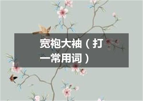 宽袍大袖（打一常用词）