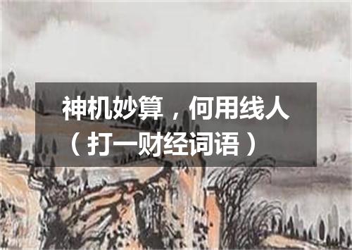 神机妙算，何用线人（打一财经词语）