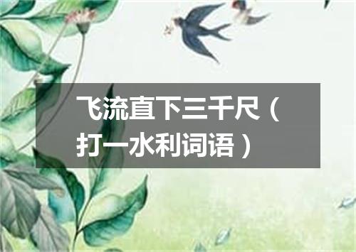 飞流直下三千尺（打一水利词语）