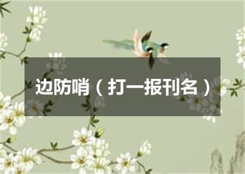 边防哨（打一报刊名）