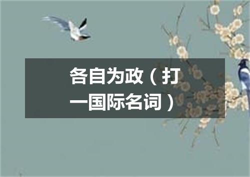 各自为政（打一国际名词）