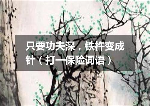 只要功夫深，铁杵变成针（打一保险词语）