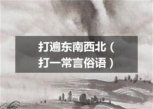 打遍东南西北（打一常言俗语）