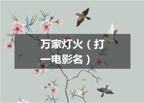 万家灯火（打一电影名）