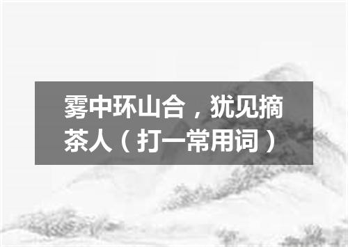 雾中环山合，犹见摘茶人（打一常用词）
