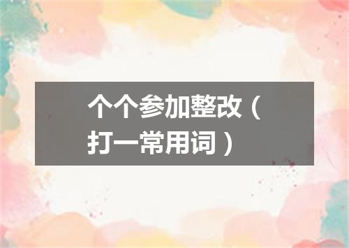 个个参加整改（打一常用词）