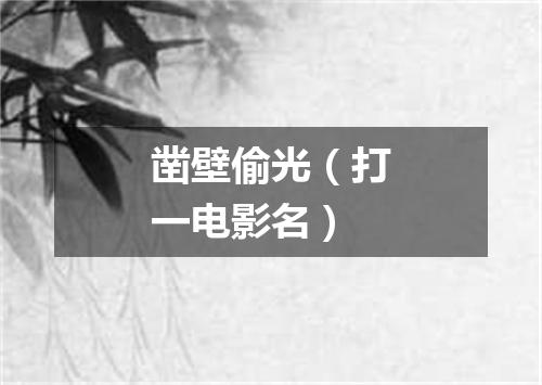 凿壁偷光（打一电影名）