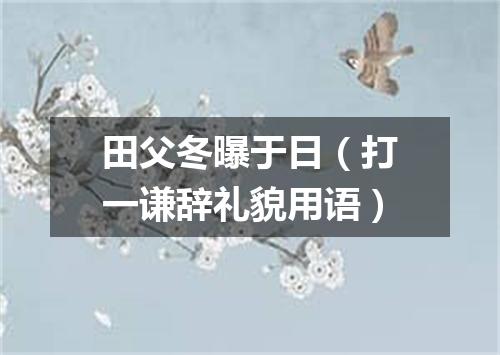 田父冬曝于日（打一谦辞礼貌用语）