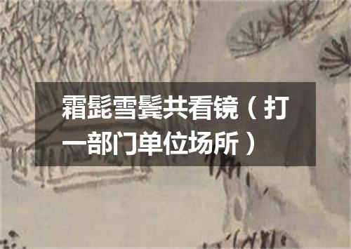 霜髭雪鬓共看镜（打一部门单位场所）