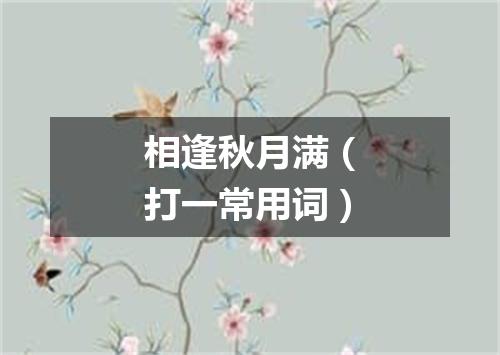 相逢秋月满（打一常用词）