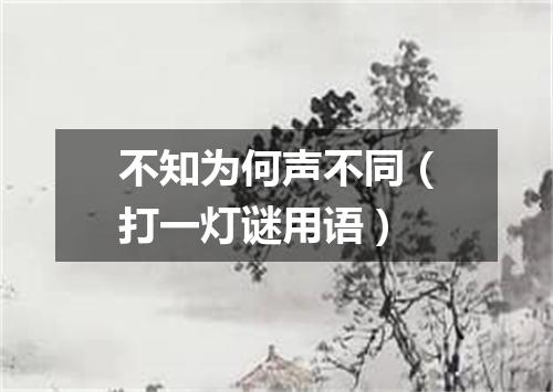 不知为何声不同（打一灯谜用语）