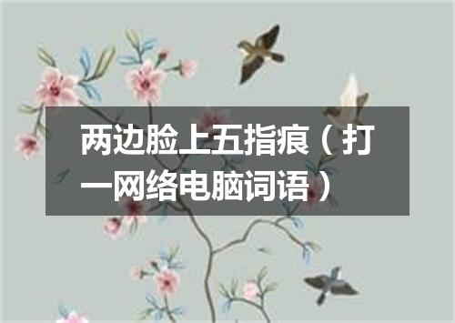 两边脸上五指痕（打一网络电脑词语）