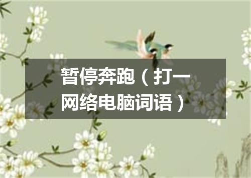 暂停奔跑（打一网络电脑词语）