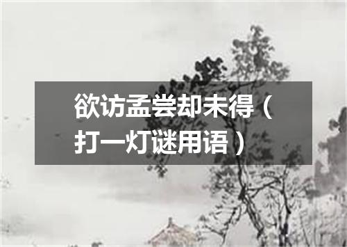 欲访孟尝却未得（打一灯谜用语）