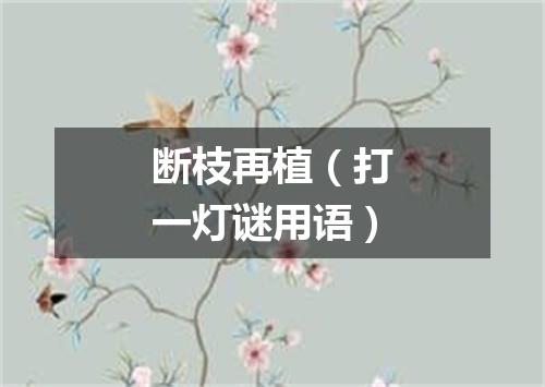 断枝再植（打一灯谜用语）