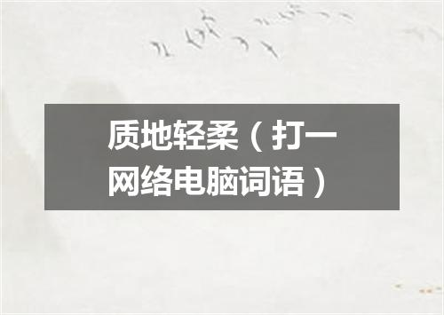质地轻柔（打一网络电脑词语）