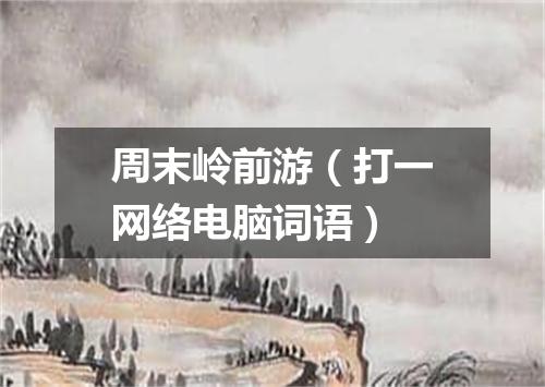 周末岭前游（打一网络电脑词语）