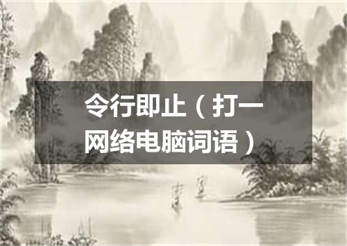 令行即止（打一网络电脑词语）
