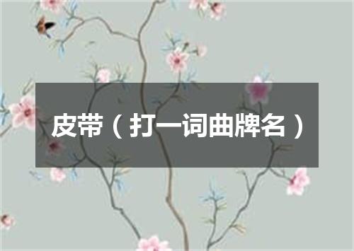 皮带（打一词曲牌名）