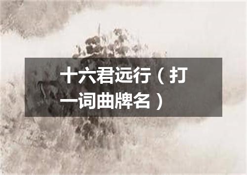 十六君远行（打一词曲牌名）