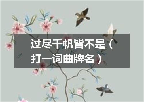 过尽千帆皆不是（打一词曲牌名）