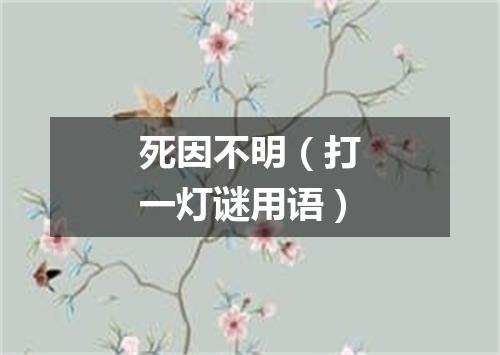 死因不明（打一灯谜用语）