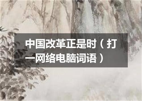 中国改革正是时（打一网络电脑词语）