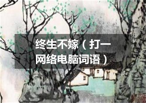 终生不嫁（打一网络电脑词语）
