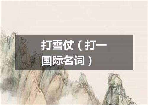 打雪仗（打一国际名词）