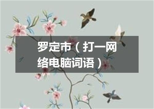 罗定市（打一网络电脑词语）