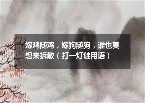 嫁鸡随鸡，嫁狗随狗，谁也莫想来拆散（打一灯谜用语）