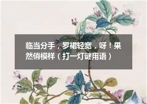 临当分手，罗裙轻宽，呀！果然俏模样（打一灯谜用语）