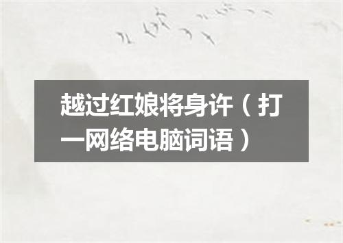 越过红娘将身许（打一网络电脑词语）