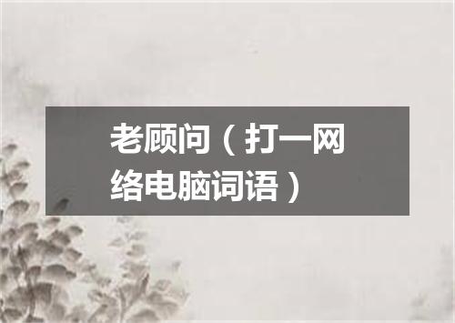 老顾问（打一网络电脑词语）
