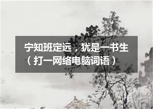 宁知班定远，犹是一书生（打一网络电脑词语）