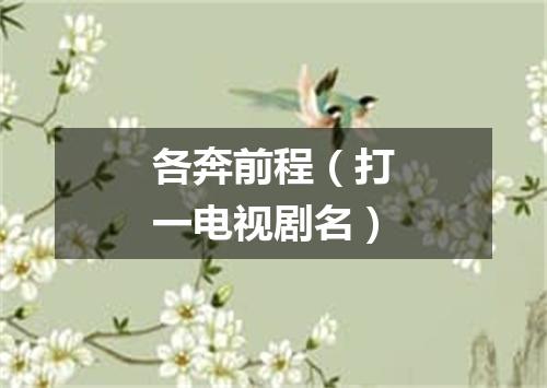 各奔前程（打一电视剧名）